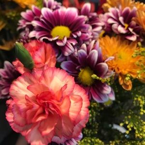 Meet your Posher, Alexandria